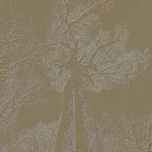 Silver Tree VII
