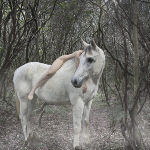 Série Quinta Essência 01