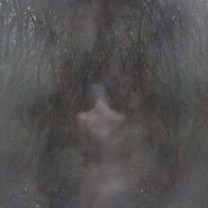 Série Quinta Essência 04