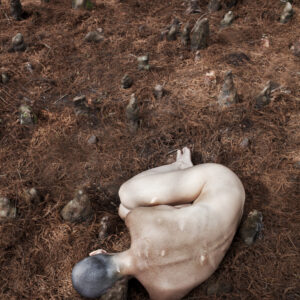 Série Quinta Essência 05