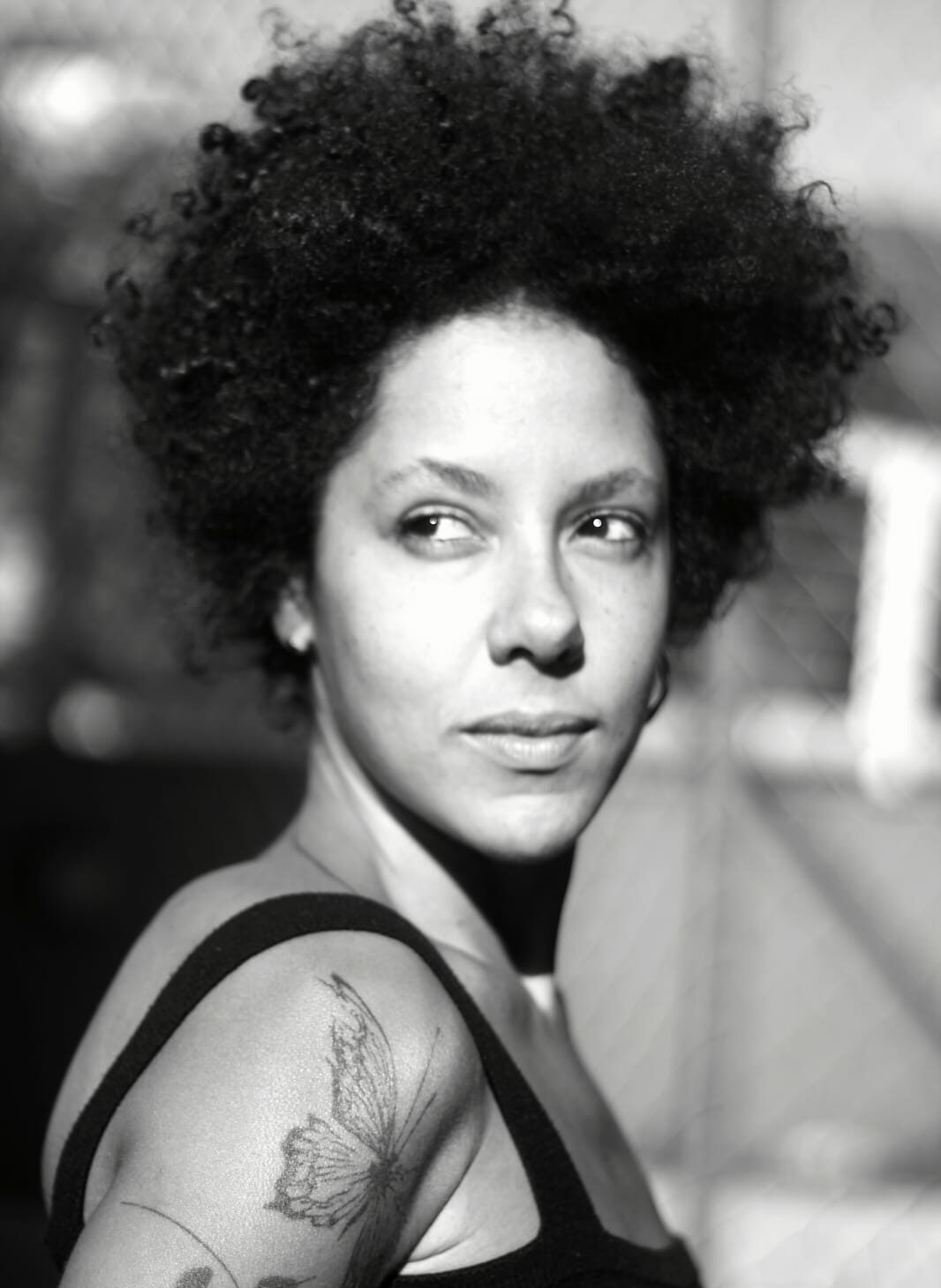 Artistas artwish Gilvan Nunes