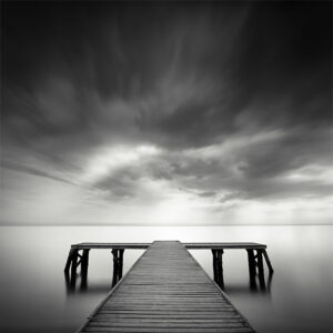 INTO THE LIGHT, 2009