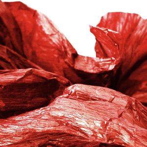 CARNAL 02. CARNAL 02