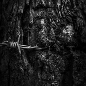 EM VOCÊ NÃO DÓI 01