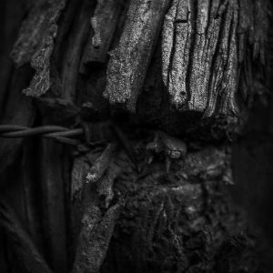 EM VOCÊ NÃO DÓI 02