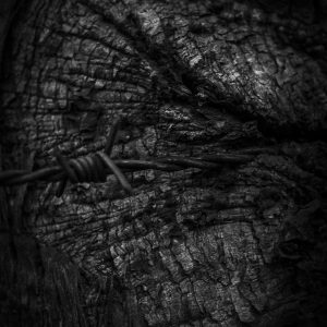 EM VOCÊ NÃO DÓI 04